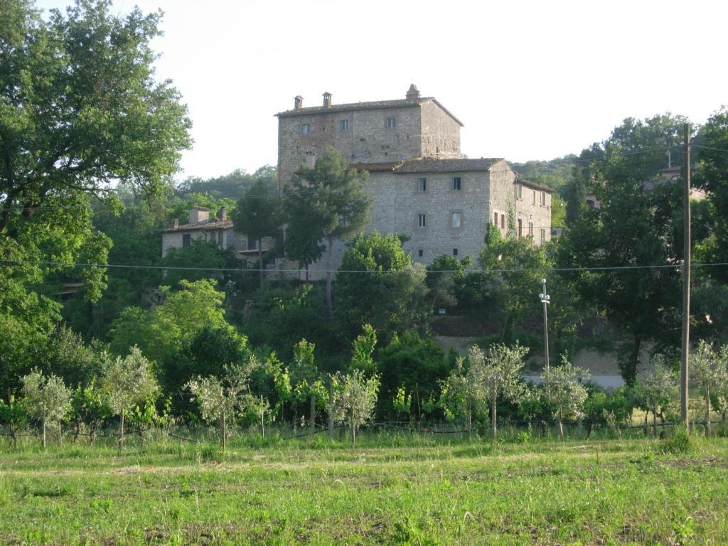 טודי Gli Appartamenti Di Torre Bertona חדר תמונה